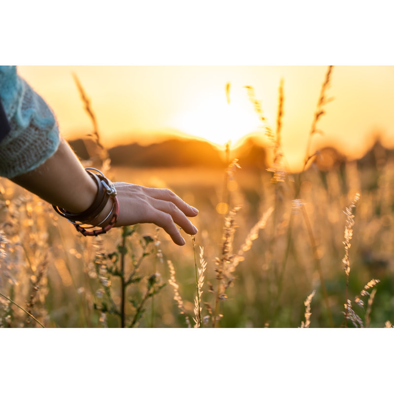 Beautiful Asian Woman Standing On Grass Field With Landscape Of Sunset In Summer by Chan2545 - Wrapped Canvas Print