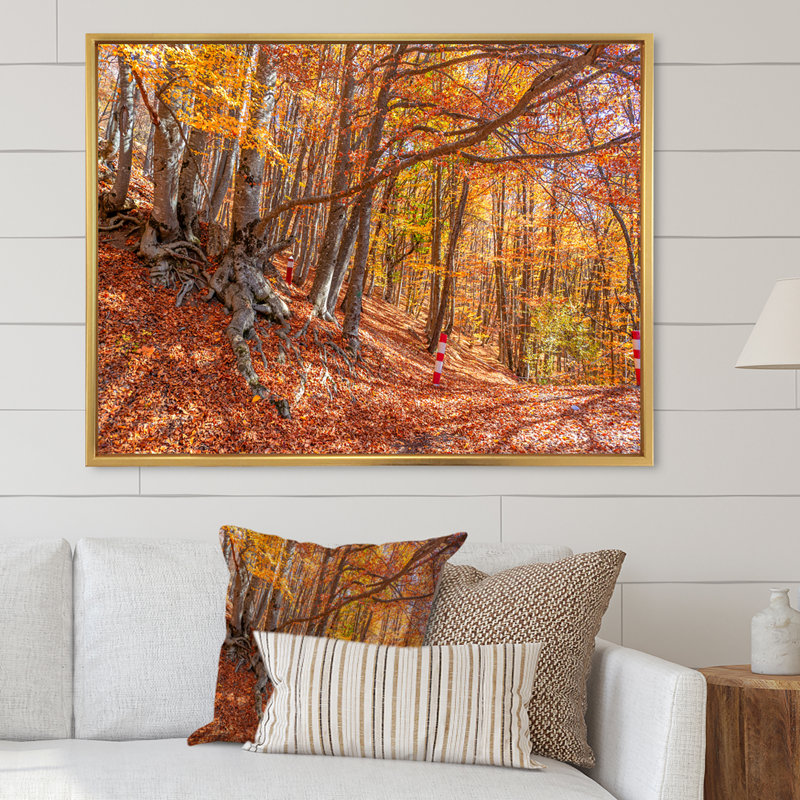 Forêt d'automne, reproduction d'art sur toile traditionnelle, H 12 po x l 20 po x P 1 po, Cadre flottant doré