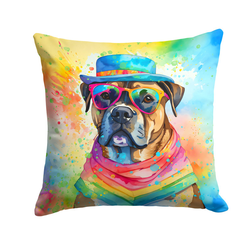  Coussin décoratif Autre / Sans motif, 14 po x 14 po