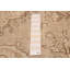 Tapis kaki en laine 6 pi 5 po x 9 pi 5 po Neo One-of-a-Kind Neo