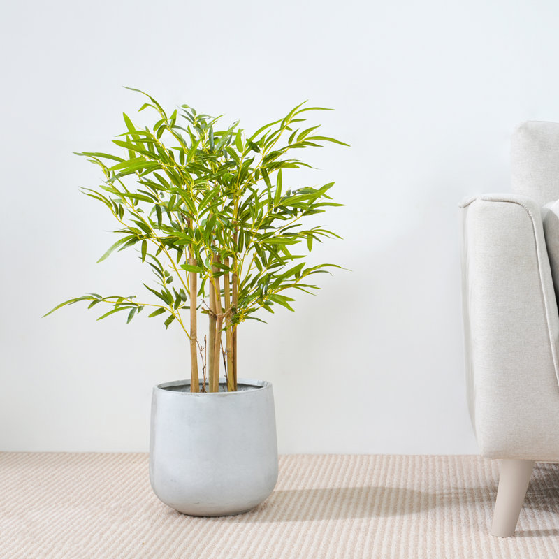 Anilya Faux Bamboo Plant, 80cm H  x 30cm W  x 30cm D