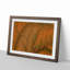 Leaf Veins - Picture Frame Photograph Print-55772191-55772193
