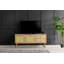 Shamong TV Stand-1101642574