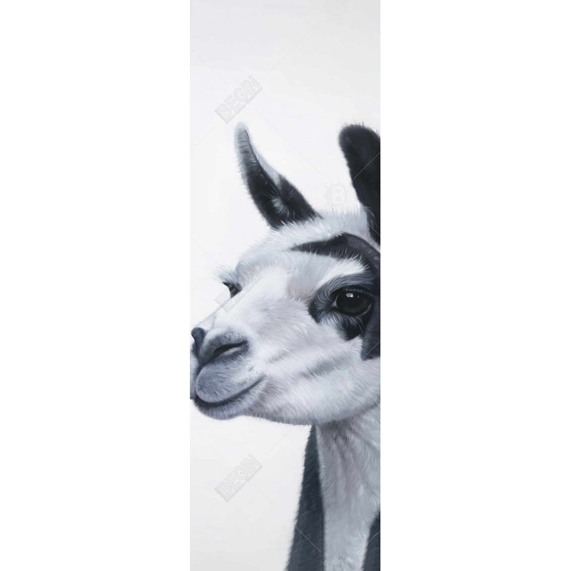 Black & White Lama - Black Framed Canvas Home Decor