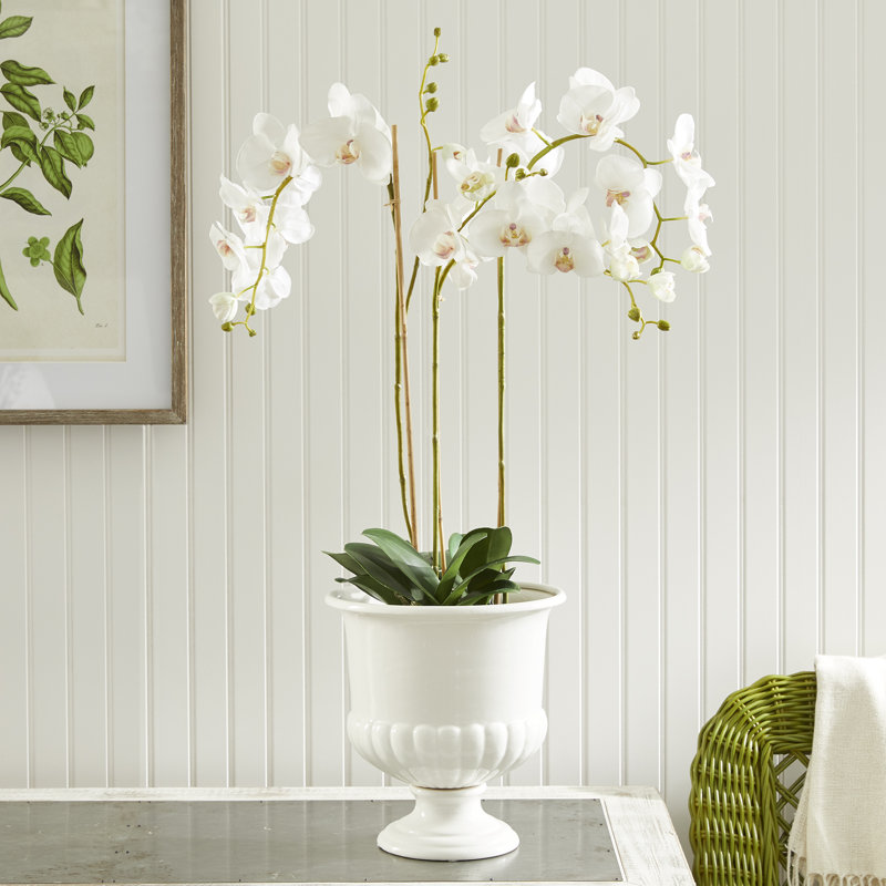 Bol décoratif en céramique blanc Toile, H 11 po x l 9 po x P 9 po