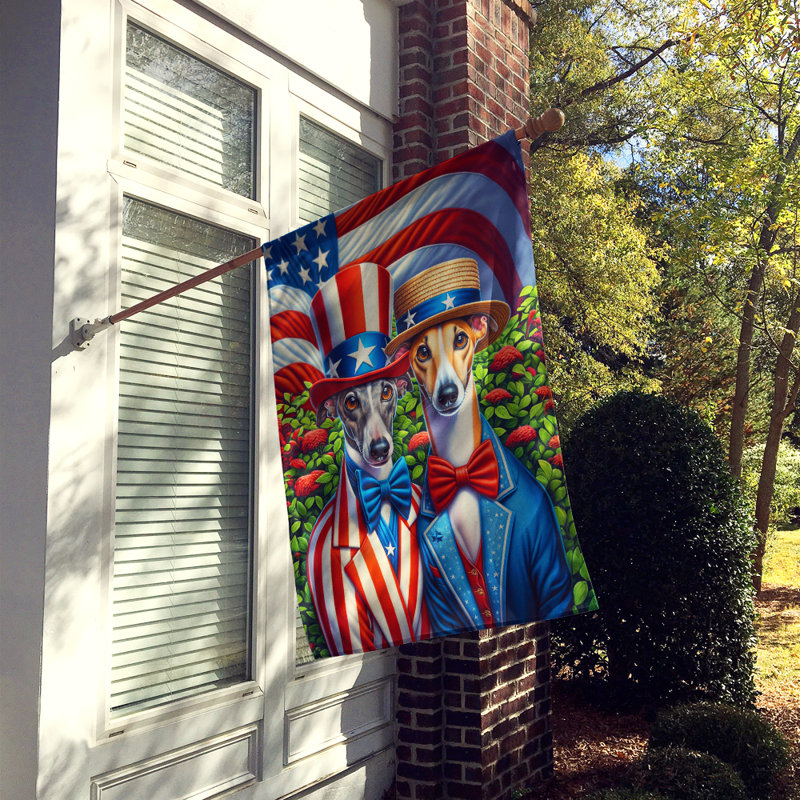 Drapeau «All American House», Lévrier anglais