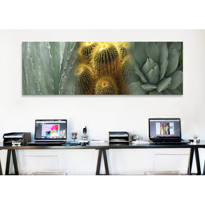 Cactus - reproduction de photo sur toile tendue