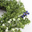 Couronne en PVC buis et baies 24 po