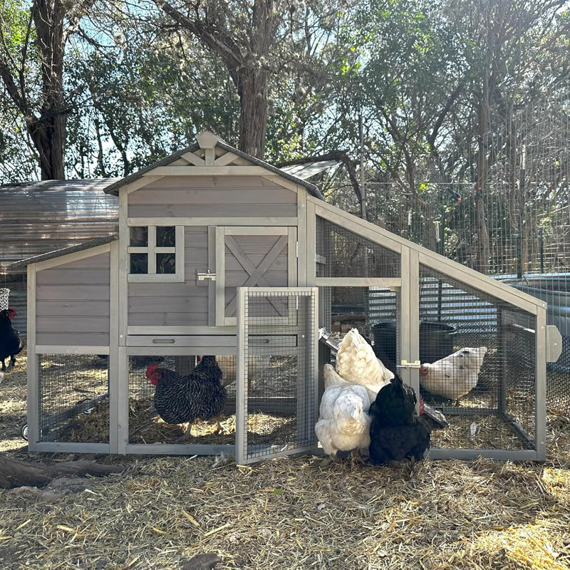 Poulailler et poulailler avec cage de nidification et cage à volaille pour l'extérieur 73,4 po avec roue pour 2 à 4 poulets