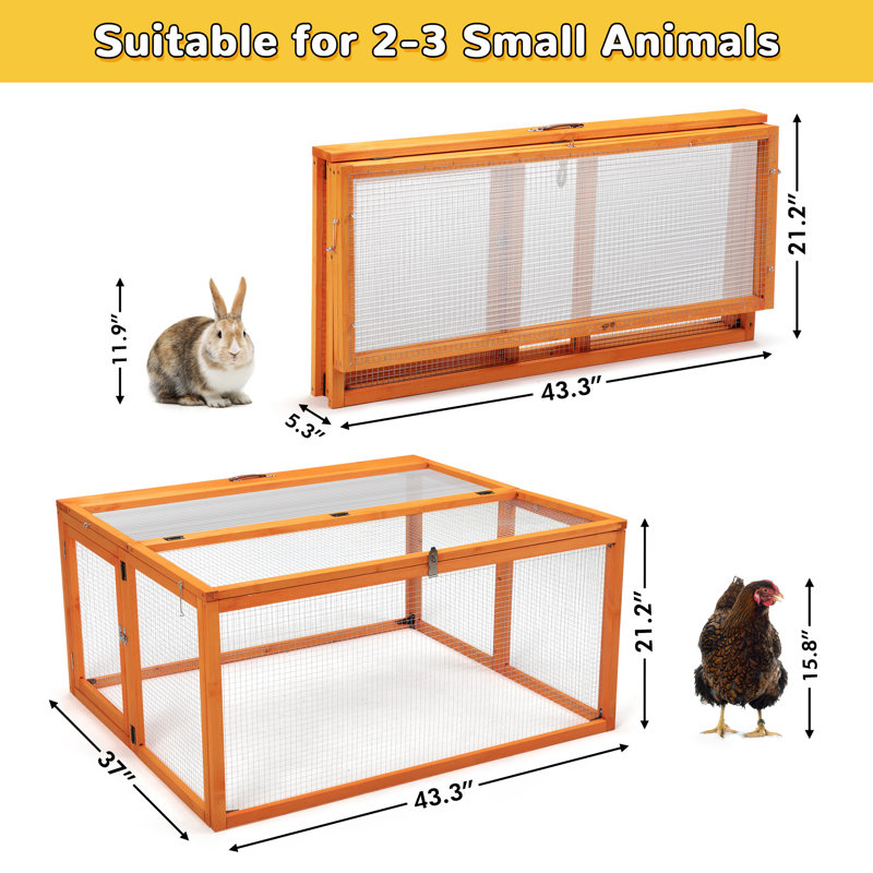 Poulailler portatif Coaxum, panneau solaire verrouillable, Orange