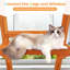Cat Cage-513349781