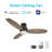 48'' Ceiling Fan with LED Lights-64962809