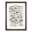 Study of Fish LXL by Oliver Goldsmith - Framed Print-55730306-55730319