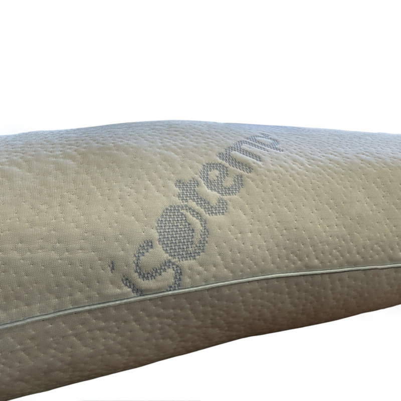Isotemp Twin Pack Bed Pillows