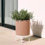 Jardinière Demi Series avec support-83889252-97745288-113515048