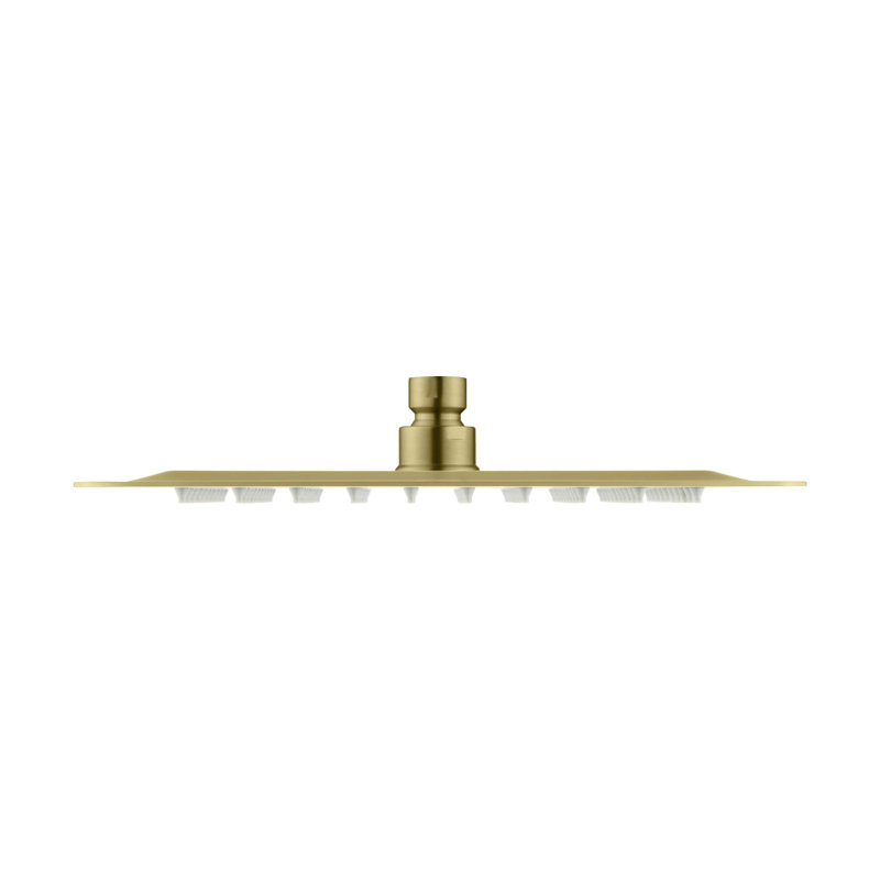 Rain Adjustable Shower Head 1.75 GPM GPM, Brushed Gold