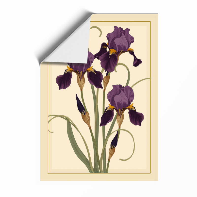 Purple Iris Study Botanical - Framed Print, A4 - 29.7 x 21.0 cm, Unframed