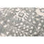 Oriental Area Rug