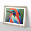 XH1022-648X Angelical Kingfisher Bird Abstract - Single Picture Frame Painting-1254183914-1254183913