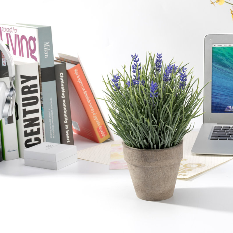 Lavender Arrangement in Pot