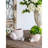 Vytautas Decorative Sand And Cement Planter 8.3X7x4.7 Inches With Beige Finish For Rustic Decor Plant Combinations Indoor Arrangements