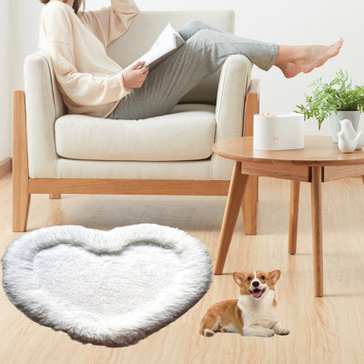 Indoor / Outdoor Rug