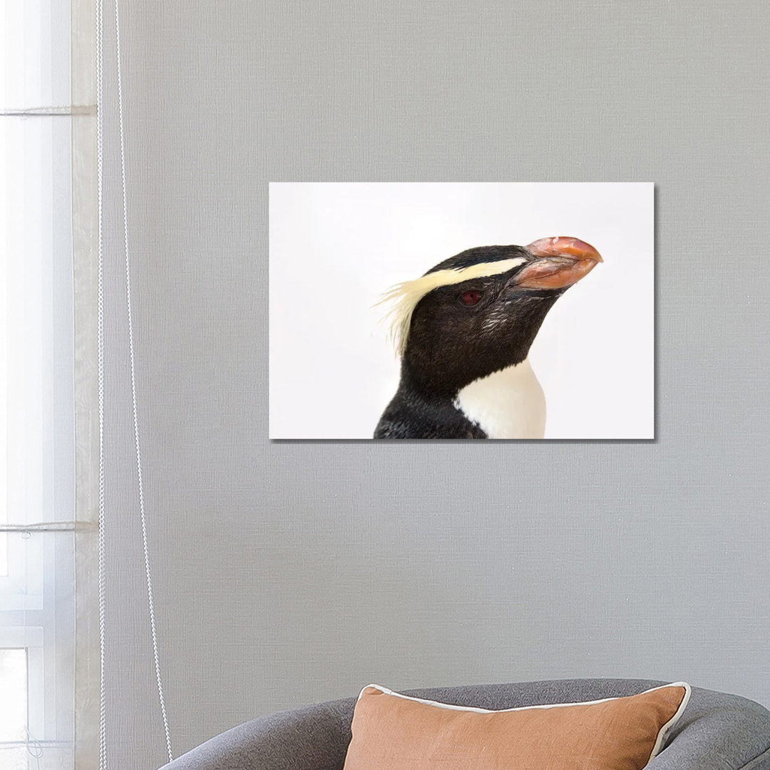 A Fiordland Penguin At The Taronga Zoo von Joel Sartore - Galerie-verpackte Leinwand Giclée auf Leinwand