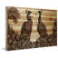 « peacock partner bold i », impression sur bois-26601242