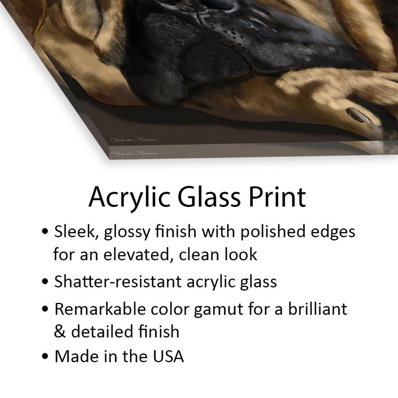 Mastiff imprimé sur verre acrylique, H 24 po x l 24 po x P 0,25 po