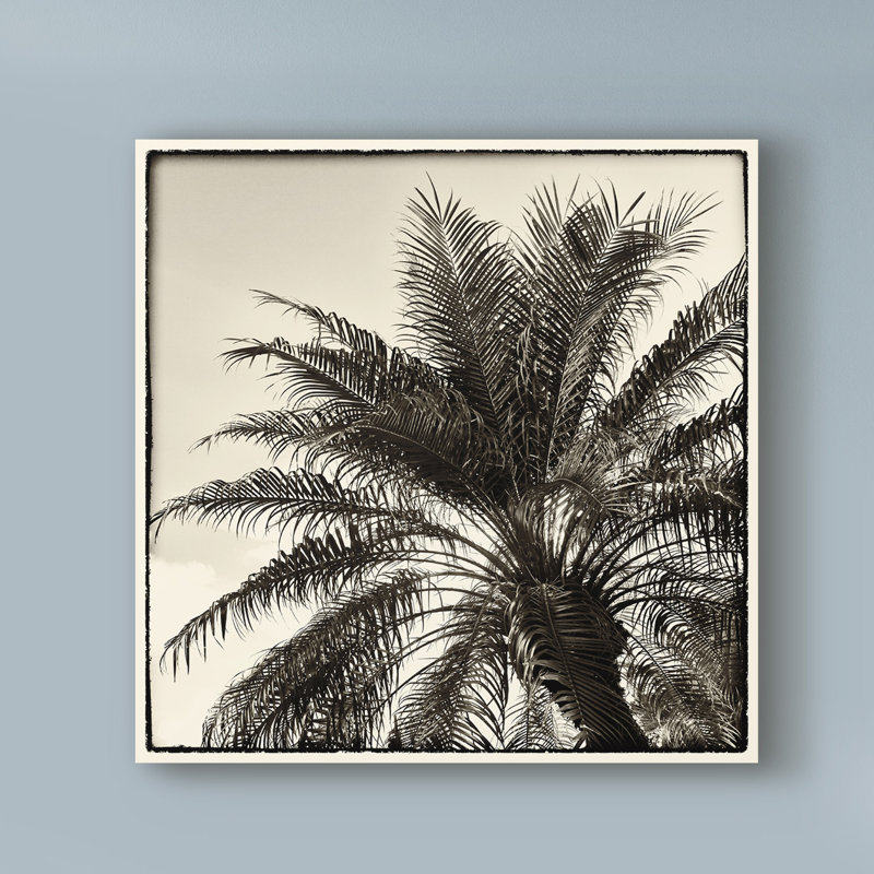 « palm tree sépia i », reproduction de photo sur toile tendue, H 24 po x l 24 po x P 2 po