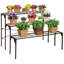 Metal Plant Stand