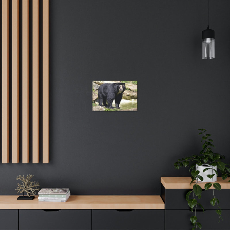 No Frame Print on Canvas, 12cm H x 16cm W