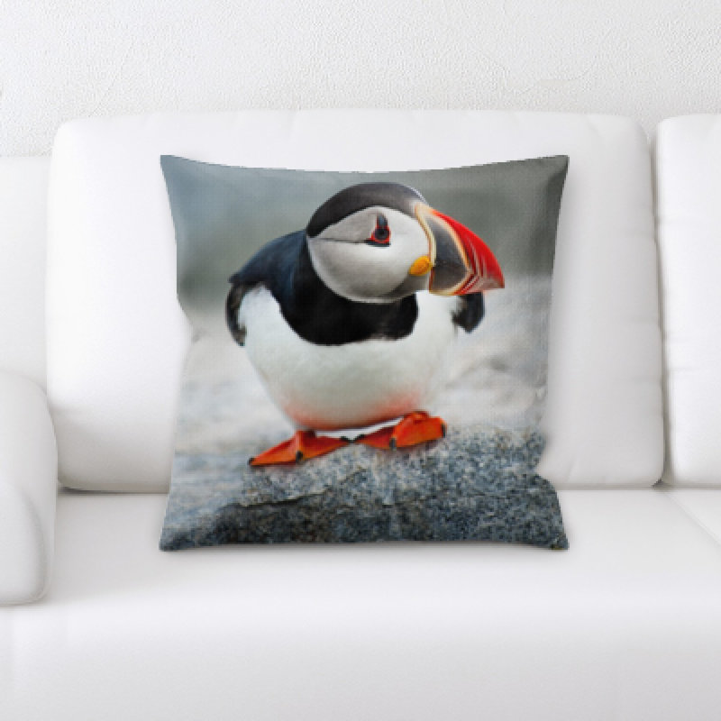 Coussin oiseau