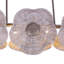 Poppy 5 LT Pearlized Antique Brass Linear Pendant Kalco