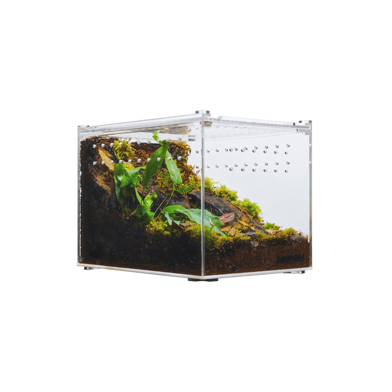 Acrylic Reptile Terrarium, 1 Gallon - 8"H x 6"W x 6"D