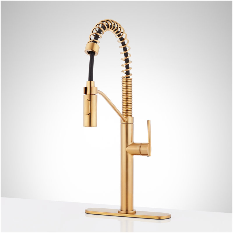 Eiler Kitchen Faucet with Pull Down Spring Spout with Deck Plate - Brushed Gold, Brushed Gold