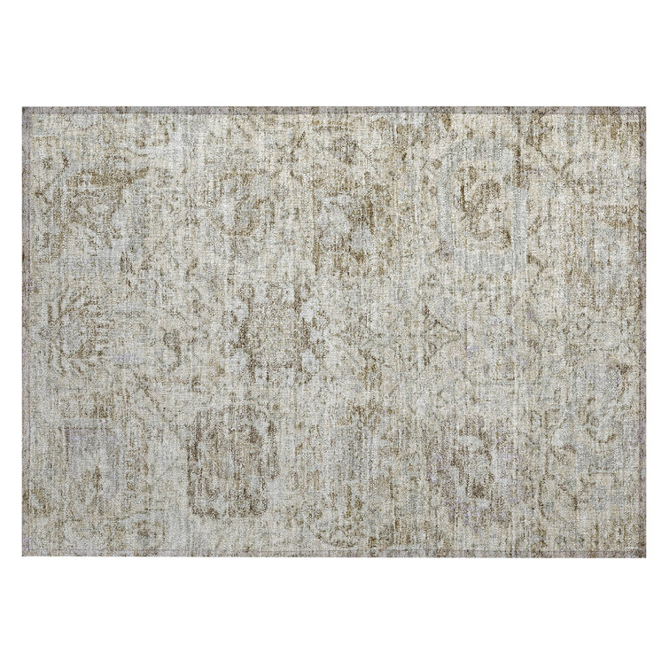 Segin Area Rug