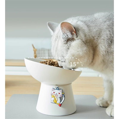 Pet Bowl