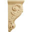 Corbeau à coquille moyen l 4 1/2 po x P 5 po x H 10 po (paquet de 2)-91125161