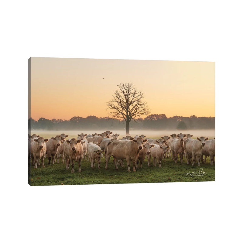 Just Come Cows And A Dead Tree by Martin Podt - Wrapped Canvas Print, 152.5 cm H x 101.5 cm W