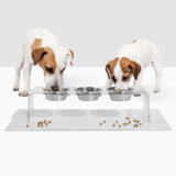 Medium Triple Dog Bowl Feeder With Silver Bowls