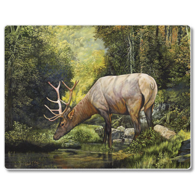 Glass Cutting Board
