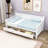 Lustick Twin Daybed with Drawers-1549764307