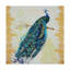 «Beautiful Peacock Right» par Jean Piout, reproduction d'art graphique sur toile-31330363