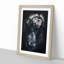 Roaring Lion in Abstract - Picture Frame Painting Print-55618184-55618187