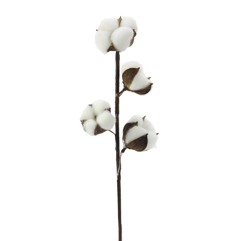 Cotton Arrangement