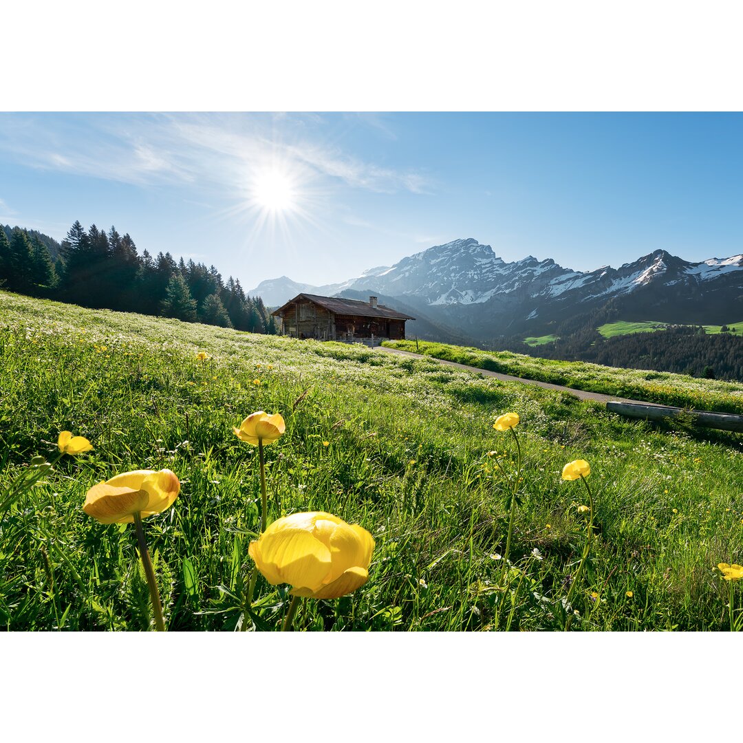 Fototapete Cathrynn, 2,8 m x 400 cm, in 8 Einzelteilen