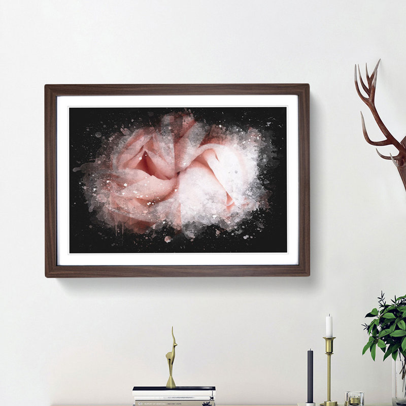 Petals of a Pink Carnation - Picture Frame Graphic Art Print, 33cm H x 45cm W x 2cm D, Walnut Framed
