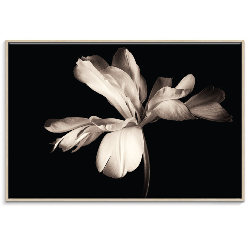 Innerglow - Print on Canvas, 51cm H x 76cm W, Wrapped Canvas