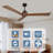 52" Wood  Ceiling Fan NO Light, 3 Reversible Blades, With 6 Speeds Reversible DC Motor,Low Profile Ceiling Fan With No Light For Living Room Kitchen Bedroom-205737553-205737552